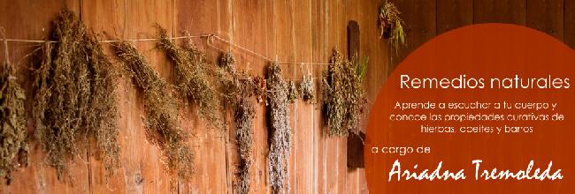 Taller de remedios naturales