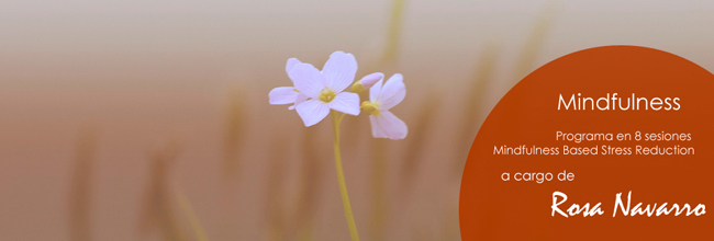 Curso de Mindfulness
