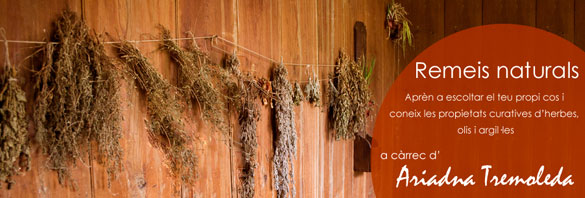Taller de Remeis Naturals