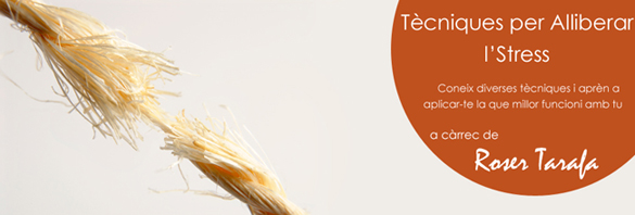 Taller de Tècniques per Alliberar l'Stress